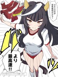 calstone light o (umamusume) from umamusume