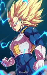 vegeta from dragon ball by horang4628