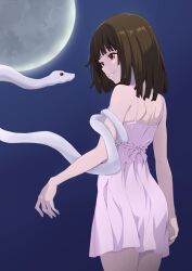 sengoku nadeko from bakemonogatari
