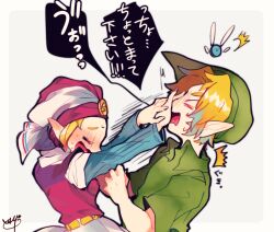 link from the legend of zelda by repikinoko