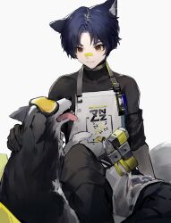 infection monitor (arknights) from arknights