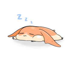 patamon from digimon