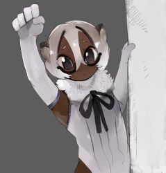 kemono friends fan art