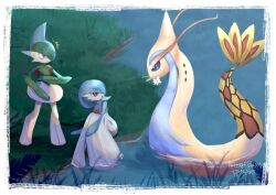 gallade from pokemon