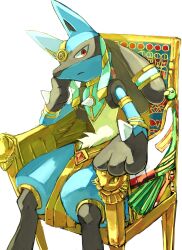 lucario from pokemon