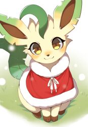leafeon from pokemon
