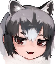 common raccoon (kemono friends) from kemono friends by raichiyo