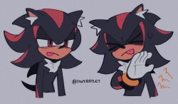 shadow the hedgehog from sonic (series)