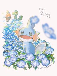 mudkip from pokemon