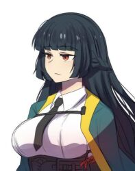 hoshimi miyabi from zenless zone zero by hinghoi