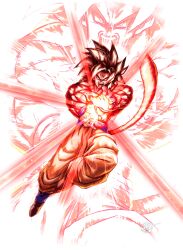 son goku from dragon ball