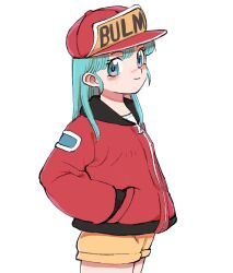 bulma from dragon ball by gan2