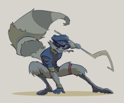 sly cooper from sly cooper (series)