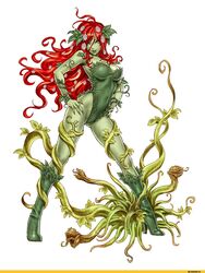 pamela lillian isley from batman (series) by yamashita shun'ya