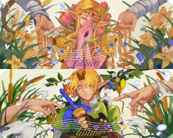 link from the legend of zelda