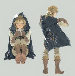 link from the legend of zelda