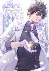 hibari kyouya from katekyo hitman reborn