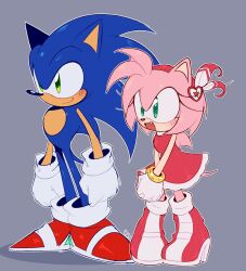amy rose from sonic (series)