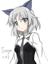 strike witches fan art