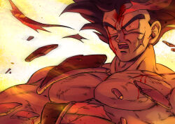 bardock from dragon ball