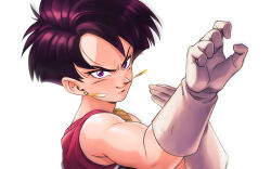 seripa from dragon ball