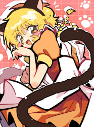 fong pudding from tokyo mew mew