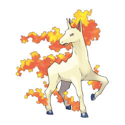 rapidash from pokemon by sugimori ken