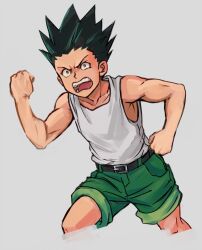 gon freecss from hunter x hunter by vasiliy-plumber