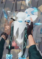 chien-pao from pokemon