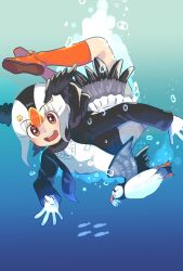 atlantic puffin (kemono friends) from kemono friends