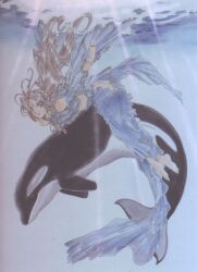 belldandy from aa megami-sama by fujishima kousuke