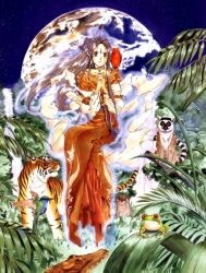 belldandy from aa megami-sama by fujishima kousuke