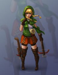 linkle from zelda musou