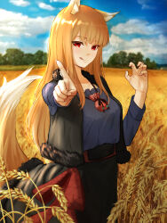 holo from spice and wolf