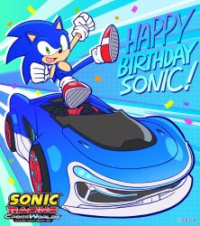 sonic the hedgehog from sonic (series)