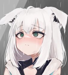 shirakami fubuki from hololive