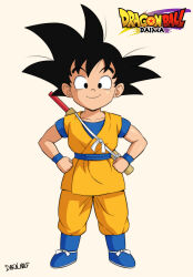 son goku from dragon ball