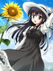 shirakawa sayaka fan art