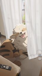 arcanine from pokemon