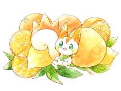 pachirisu from pokemon by non (kumakawayusu)