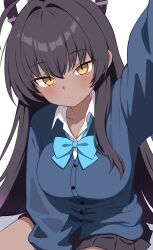 karin (blue archive) from blue archive