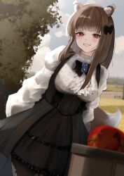 holo from spice and wolf
