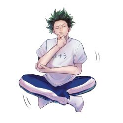 midoriya izuku from boku no hero academia