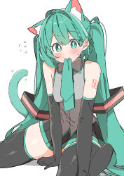 hatsune miku from vocaloid