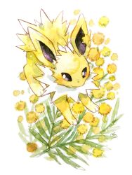 jolteon from pokemon by non (kumakawayusu)