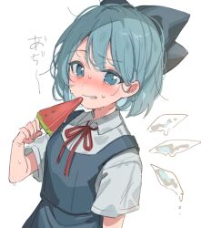 cirno from touhou by paragasu (parags112)