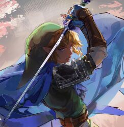 link from the legend of zelda