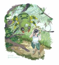 spinarak from pokemon