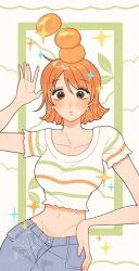 nami (one piece) from one piece
