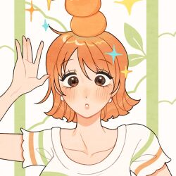 nami (one piece) from one piece